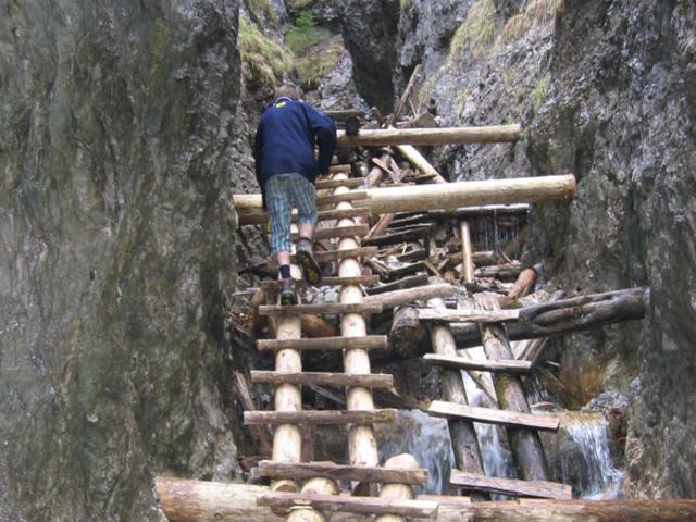 2005Raj_14
