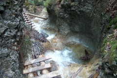 2005Raj_09