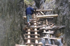 2005Raj_14