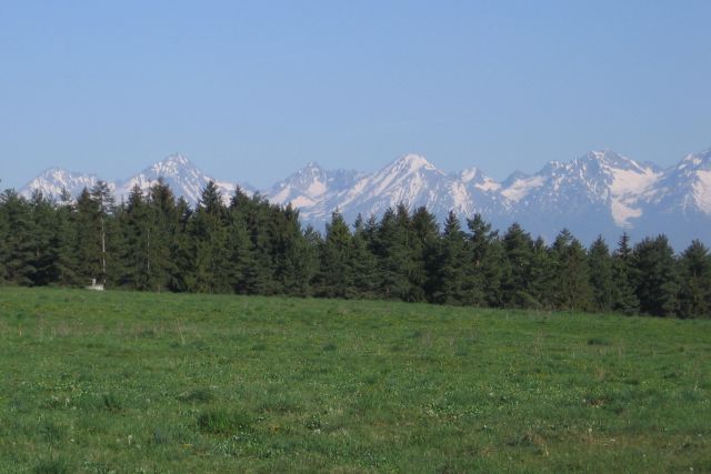 2007-05_Raj-18