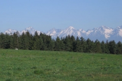2007-05_Raj-18