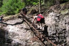 2007-05_Raj-20